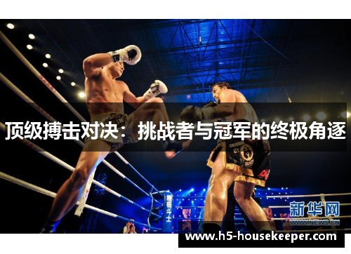 顶级搏击对决：挑战者与冠军的终极角逐
